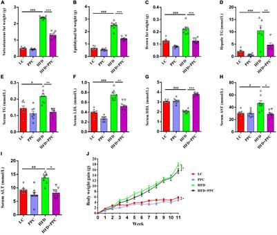 Polyene Phosphatidylcholine Ameliorates High Fat Diet-Induced Non-alcoholic Fatty Liver Disease via Remodeling Metabolism and Inflammation